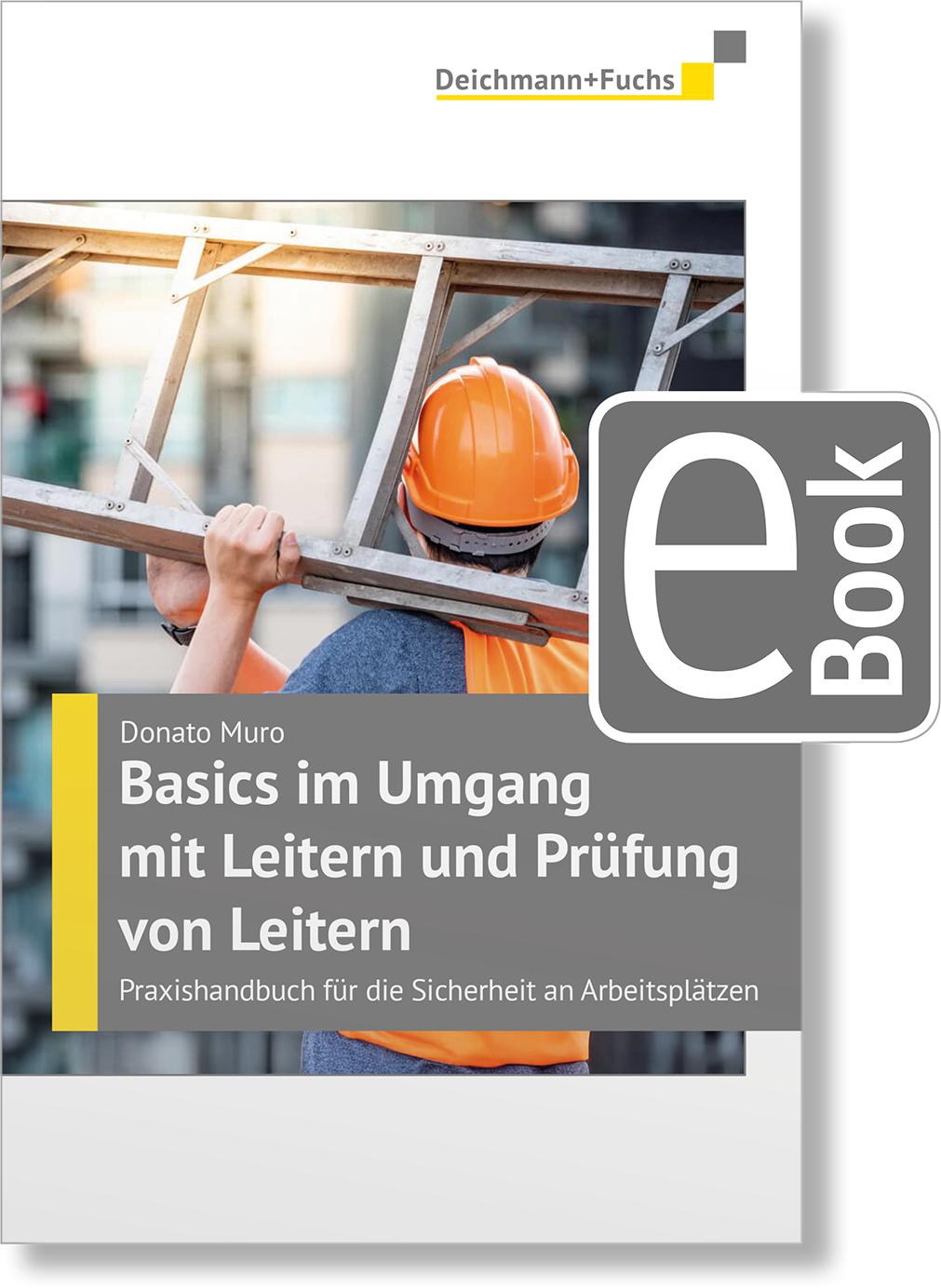 Dieses Bild zeigt das Produkt Basics im Umgang mit Leitern und Prüfung von Leitern