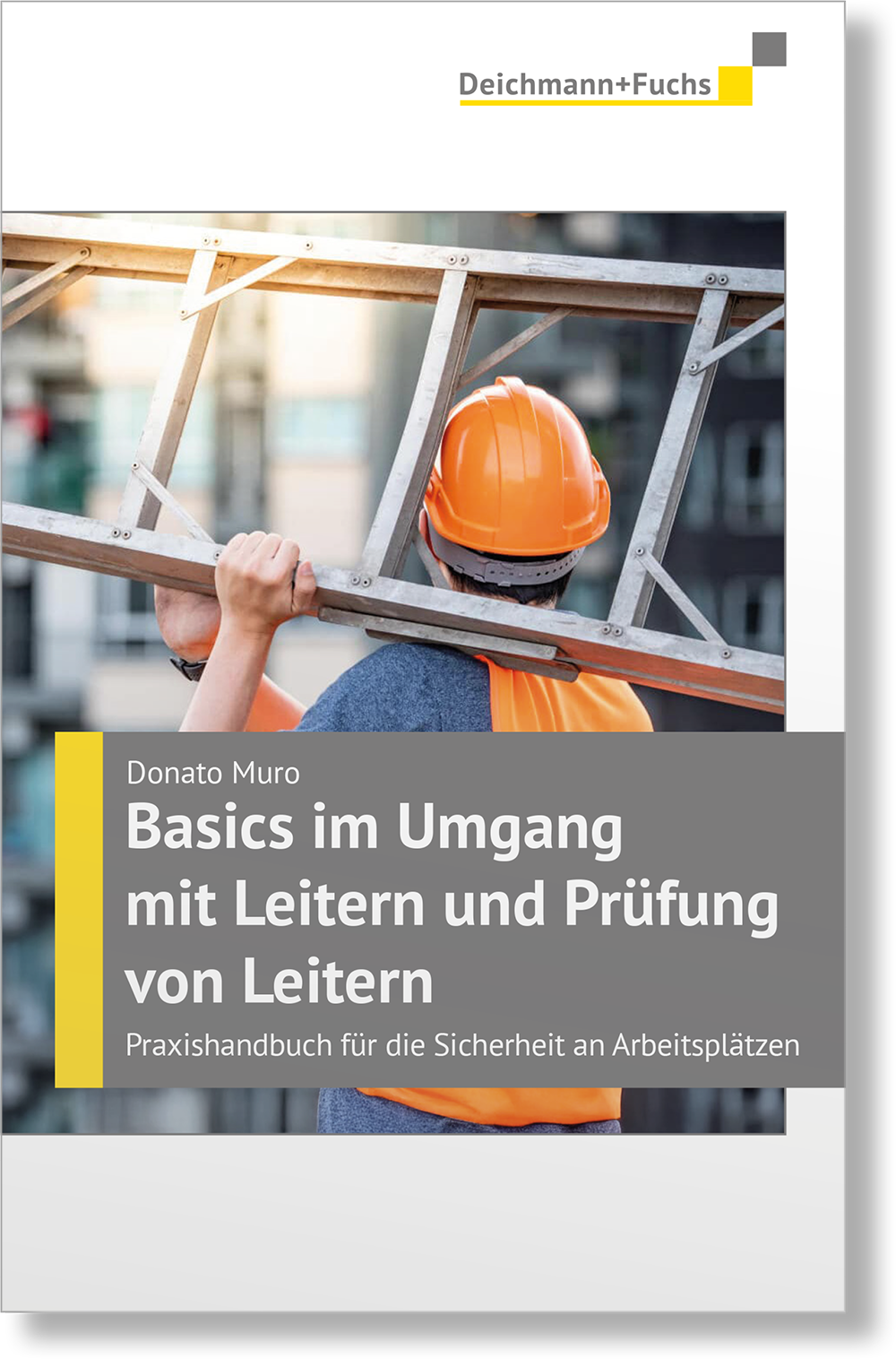 Dieses Bild zeigt das Produkt Basics im Umgang mit Leitern und Prüfung von Leitern